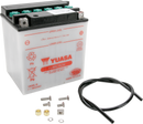 YUASA Battery - YB30L-B YUAM22H30TWN