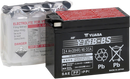 YUASA AGM Battery - YT4B-BS - .12 L YUAM62T4B