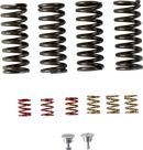 REKLUSE EXP 4.0 Clutch - DR 650 RMS-8106010