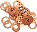 BOLT Drain Plug Washers - M14 CPRM14.22-50