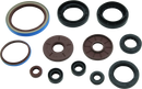 QuadBoss 09-15 Arctic Cat 1000 TRV Engine and Transmission Oil Seal Set Part
