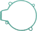 RICK'S MOTORSPORT ELECTRIC Stator Gasket - KTM 25-001