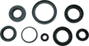 QuadBoss Oil Seal Set for Arctic Cat 550 4x4 EFI - Engine and Transmission Rebuild Kit