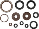 QuadBoss 09-15 Arctic Cat 1000 TRV Engine and Transmission Oil Seal Set Part