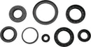 QuadBoss Oil Seal Set for Arctic Cat 550 4x4 EFI - Engine and Transmission Rebuild Kit
