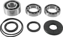 QuadBoss Differential Bearing & Seal Kit for 2017 Polaris RZR XP 4 1000 EPS High Lifter Edition