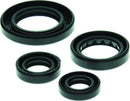 QuadBoss Oil Seal Set Part Number 564348 – Complete Engine and Transmission Seal Rebuild Kit