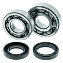 QuadBoss Yamaha YFS200 Blaster Crankshaft Bearing & Seal Kit - Precision Engine Rebuild Components