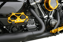 ARLEN NESS Diamond Floorboards - Passenger - Gold 410-061