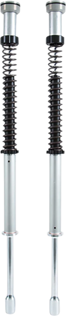 Ohlins FKS 221 NIX 22 Front Fork Cartridge Kit for Softail
