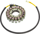 RICK'S MOTORSPORT ELECTRIC Stator - Honda 21-169