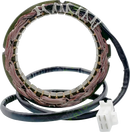 RICK'S MOTORSPORT ELECTRIC Stator - Yamaha 21-432