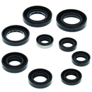QuadBoss 81-83 Honda ATC200 Oil Seal Set - Engine and Transmission Rebuild Kit