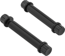 ARLEN NESS Bolt Kit - Footpeg - 12-Point - Titanium - Black 300-804