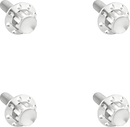 ARLEN NESS Bolt Kit - Windshield - Titanium - 12-Point - Polished 300-839