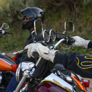 THRASHIN SUPPLY CO. Roper Leather Gloves - Bone White - 3XL TRG-00-13