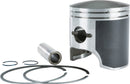 SP1 Piston T Moly A/C Part Number 09-687 for Arctic Cat Models