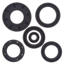 QuadBoss Oil Seal Set for Arctic Cat 650 V2 4x4 and Kawasaki KVF Prairie Models