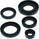 QuadBoss Oil Seal Set Part