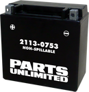PARTS UNLIMITED AGM Battery - YTX14 CTX14