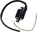 RICK'S MOTORSPORT ELECTRIC Ignition Coil - Yamaha/Suzuki 23-301