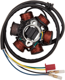 RICK'S MOTORSPORT ELECTRIC Stator - Can-Am 21-061