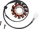RICK'S MOTORSPORT ELECTRIC Stator - GasGas 21-0095