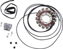RICK'S MOTORSPORT ELECTRIC Stator - BMW 21-033