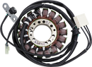 RICK'S MOTORSPORT ELECTRIC Stator - Triumph 21-029