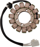RICK'S MOTORSPORT ELECTRIC Stator - Suzuki 21-338
