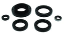 QuadBoss Oil Seal Set Part Number 564199 for Powersports Engines and Transmissions