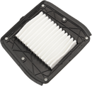 DRAG SPECIALTIES OEM Replacement Air Filter - Indian E14-0996
