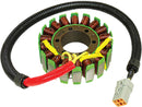 SP1 Stator Assembly for Ski-Doo Expedition and GSX LE 600 HO SDI Models - Part