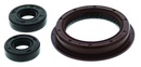 QuadBoss Polaris ACE 900 SP/XC Oil Seal Set – Complete Rebuild Kit for Engines and Transmissions