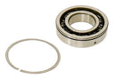 SP1 Up-09022 Crankshaft Bearing for Ski-Doo Expedition Models