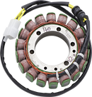 RICK'S MOTORSPORT ELECTRIC Stator - Honda 21-160