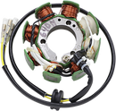 RICK'S MOTORSPORT ELECTRIC Hot Shot Stator - Honda 21-640H