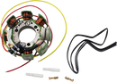 RICK'S MOTORSPORT ELECTRIC Stator - Honda 21-641H