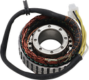 RICK'S MOTORSPORT ELECTRIC Stator - Honda 21-157
