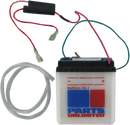 PARTS UNLIMITED Conventional Battery 6N551D1