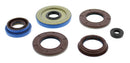 QuadBoss 2014 Polaris Ranger 900 Diesel HST/Deluxe Oil Seal Set – Complete Engine and Transmission Rebuild Kit