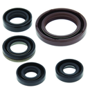 QuadBoss Oil Seal Set for Suzuki LT-R450 QuadRacer (2006-2009) – Engine and Transmission Rebuild Kit
