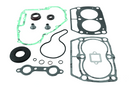 QuadBoss Complete Gasket Set with Oil Seals for Polaris Ranger 800 EFI (2011-2014)