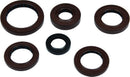 QuadBoss Oil Seal Set Part Number 564595 for Powersports Engines and Transmissions