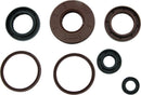 QuadBoss Oil Seal Set for Arctic Cat 550 4x4 EFI - Engine and Transmission Rebuild Kit