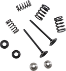 MOOSE OFFROAD Valve and Spring Kit - Yahama WR250F | YZ250FX | YZ250F M80-82360
