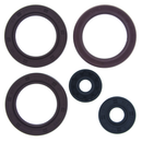 QuadBoss Oil Seal Set for Can-Am Maverick Trail 700 and Compatible Models - Part