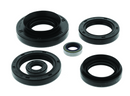 QuadBoss Oil Seal Set for Kawasaki KVF750 Brute Force 4x4i and EPS Models (2015-2018)