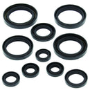 QuadBoss Oil Seal Set Part 564139 for Engine and Transmission Rebuilds