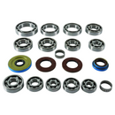 QuadBoss Transaxle Bearing Kit for Polaris ACE 500 and RZR 900 Models (Part No. 401289)
